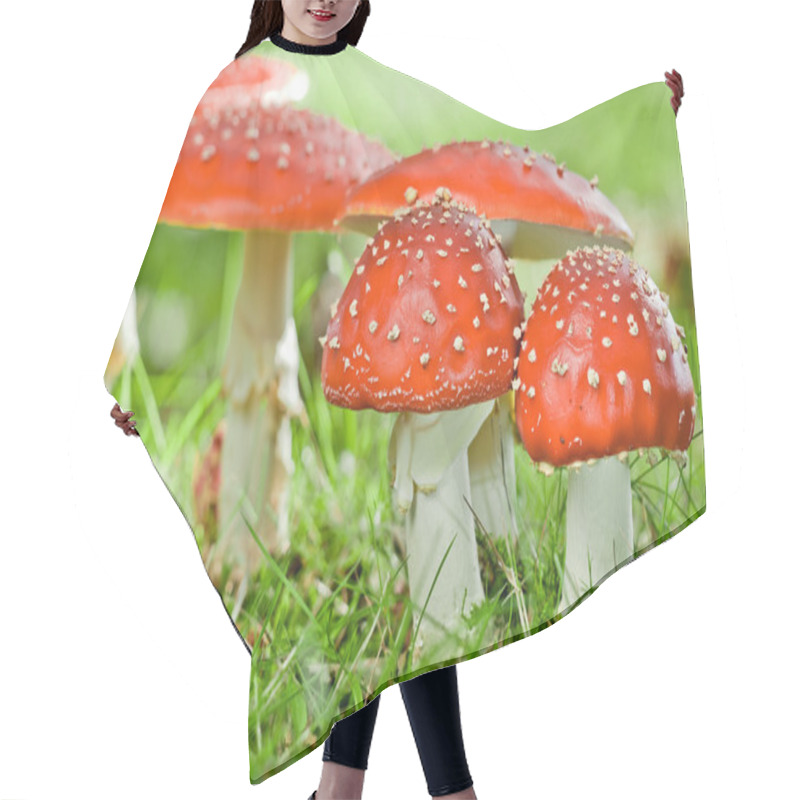 Personality  Fly Agaric Hair Cutting Cape