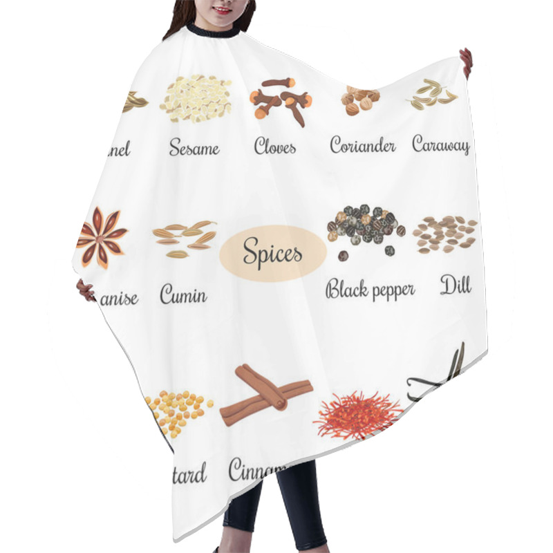 Personality  Icon Set With Titles Of Popular Culinary Spices Hair Cutting Cape