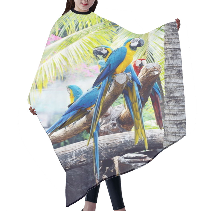 Personality  Macaws On The Log Hair Cutting Cape