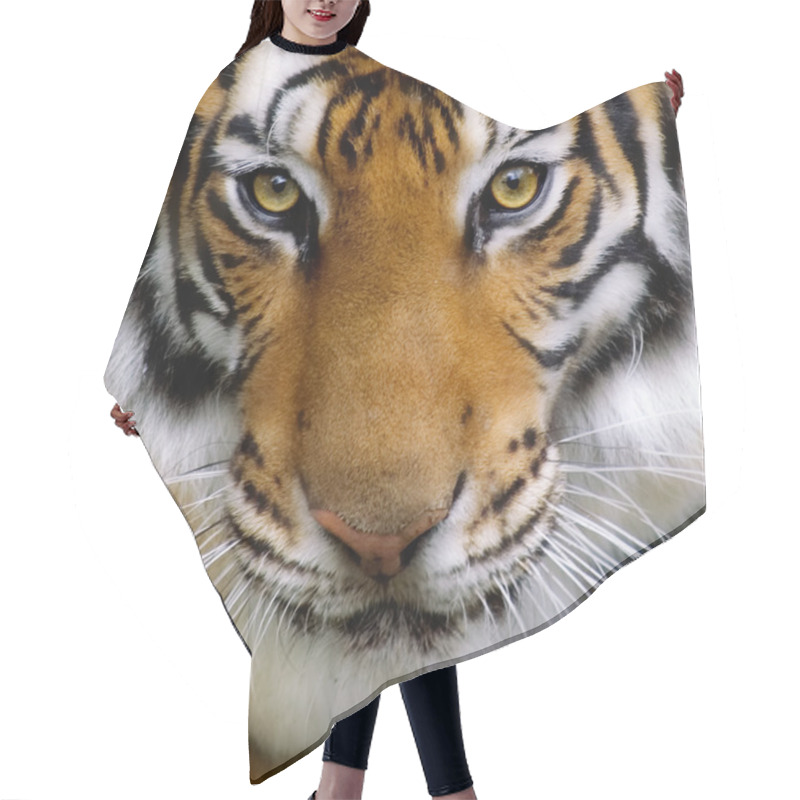 Personality  Tiger Isolated Hair Cutting Cape