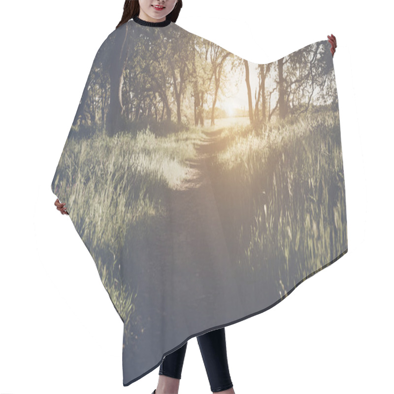 Personality  Sunlight In The Forest As Background Hair Cutting Cape