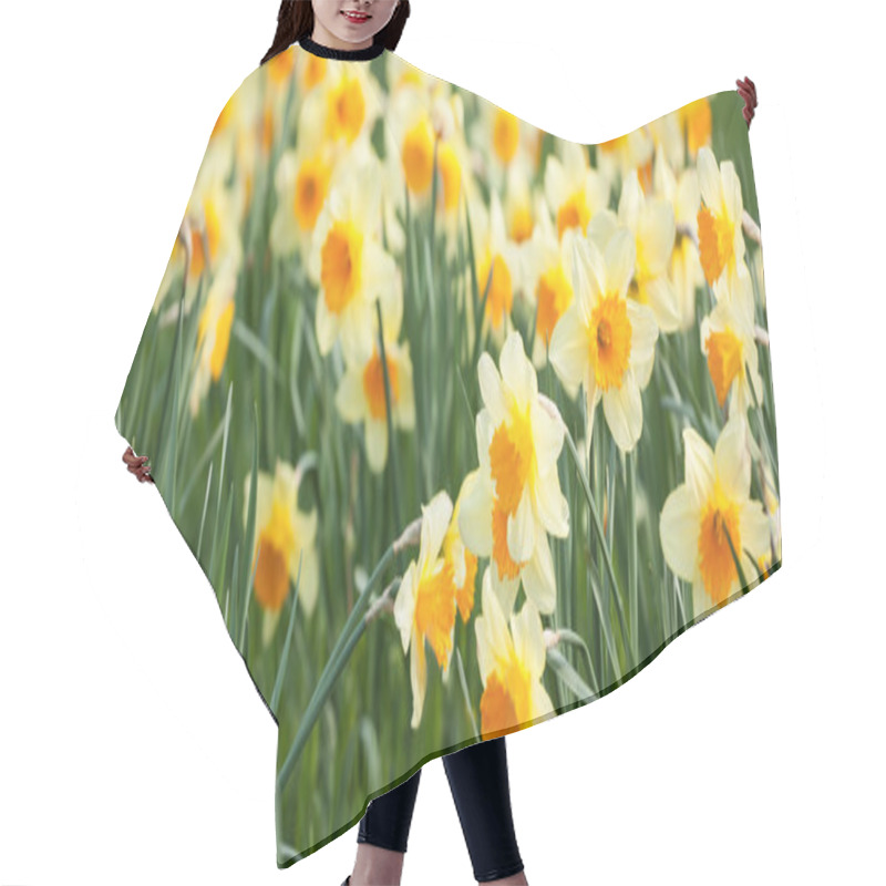 Personality  Yellow Daffodils Hair Cutting Cape