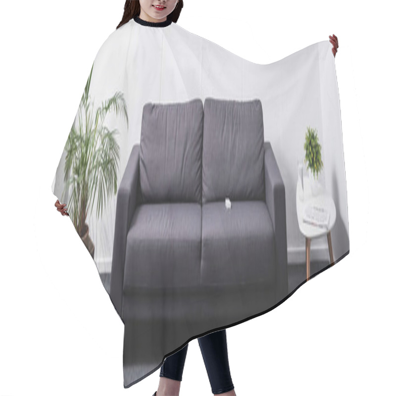 Personality  Room With Grey Sofa And Plants, Website Header Hair Cutting Cape