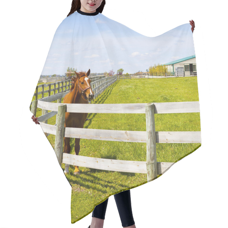 Personality  Gorse On A Farm Hair Cutting Cape