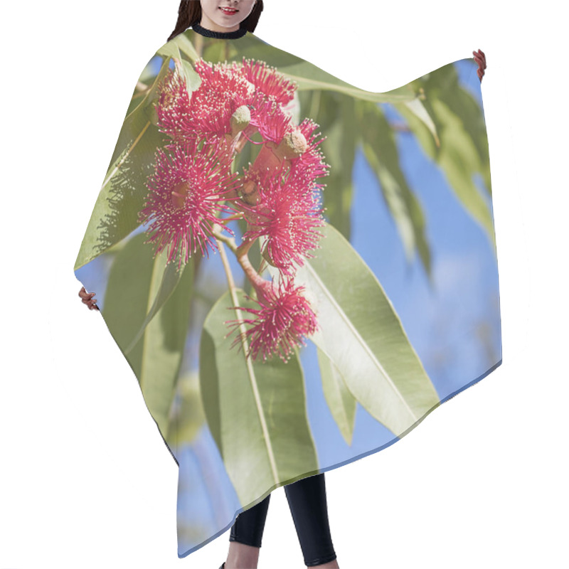 Personality  Australian Iconic Red Gum Flowers   Hair Cutting Cape