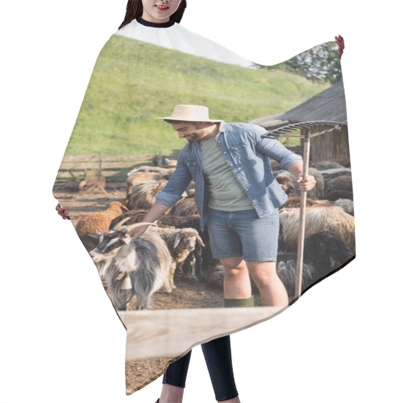 Personality  Happy Farmer With Rakes Stroking Horned Goat In Corral On Cattle Farm Hair Cutting Cape