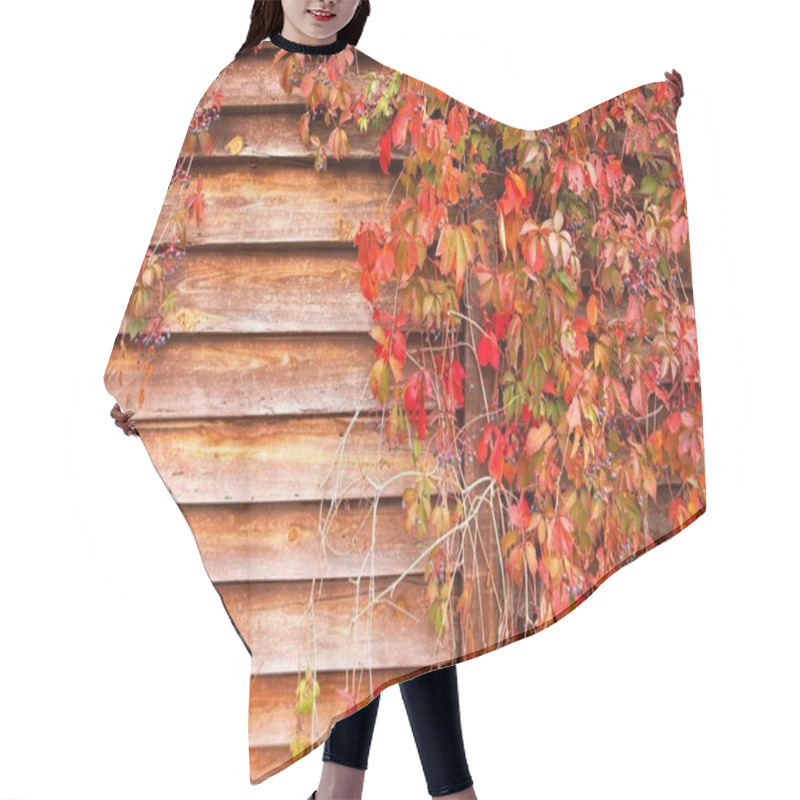 Personality  Rustic Wooden Wall With Red Autumn Leaves And Blue Berries Hair Cutting Cape