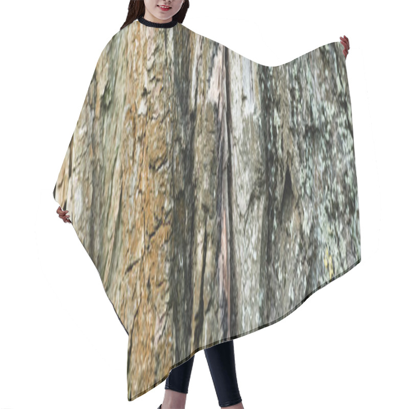 Personality  Close Up View Of Textured Tree Bark, Ecology Concept, Banner Hair Cutting Cape