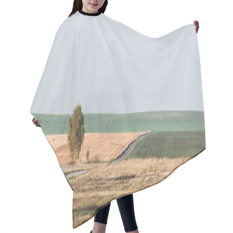 Personality  Horizontal Image Of Green Tree In Field Against Sky With Clouds Hair Cutting Cape