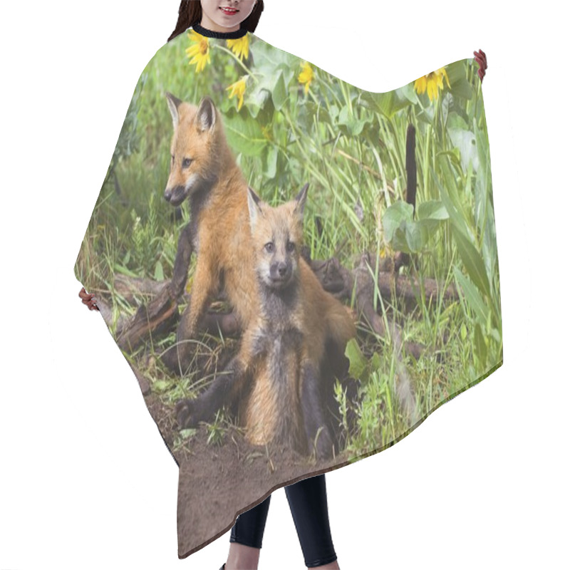 Personality  Baby Foxes At Den Site Hair Cutting Cape