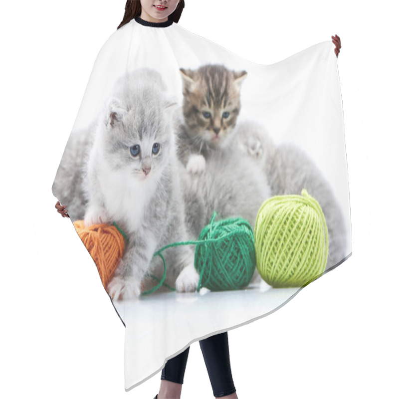 Personality  Small Grey Fluffy Adorable Kitten Is Playing With Orange Yarn Ball While Other Kitties Are Playing With Green Wool Balls In White Photo Studio Hair Cutting Cape