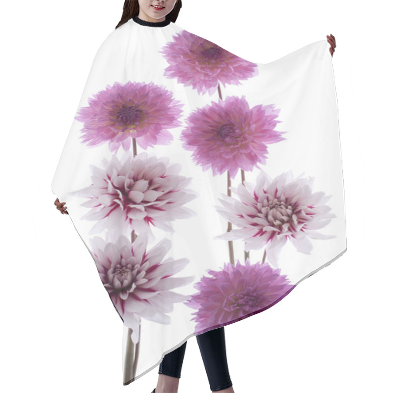 Personality  Dahlia Hair Cutting Cape