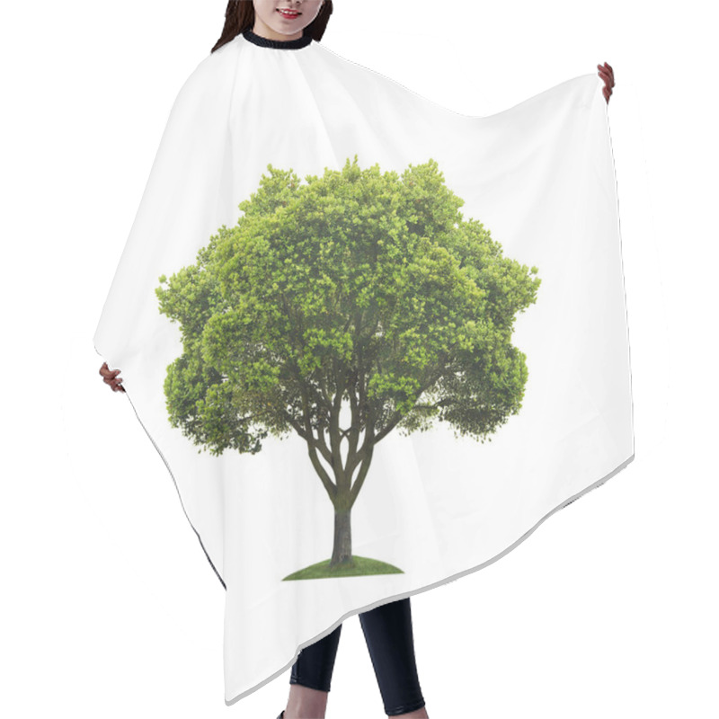 Personality  Green Tree Hair Cutting Cape