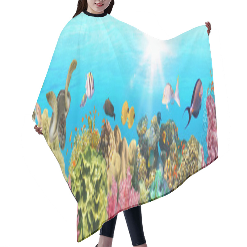 Personality  Underwater Paradise Background - Coral Reef Wildlife Nature Collage With Sea Turtle And Colorful Fish Background Hair Cutting Cape