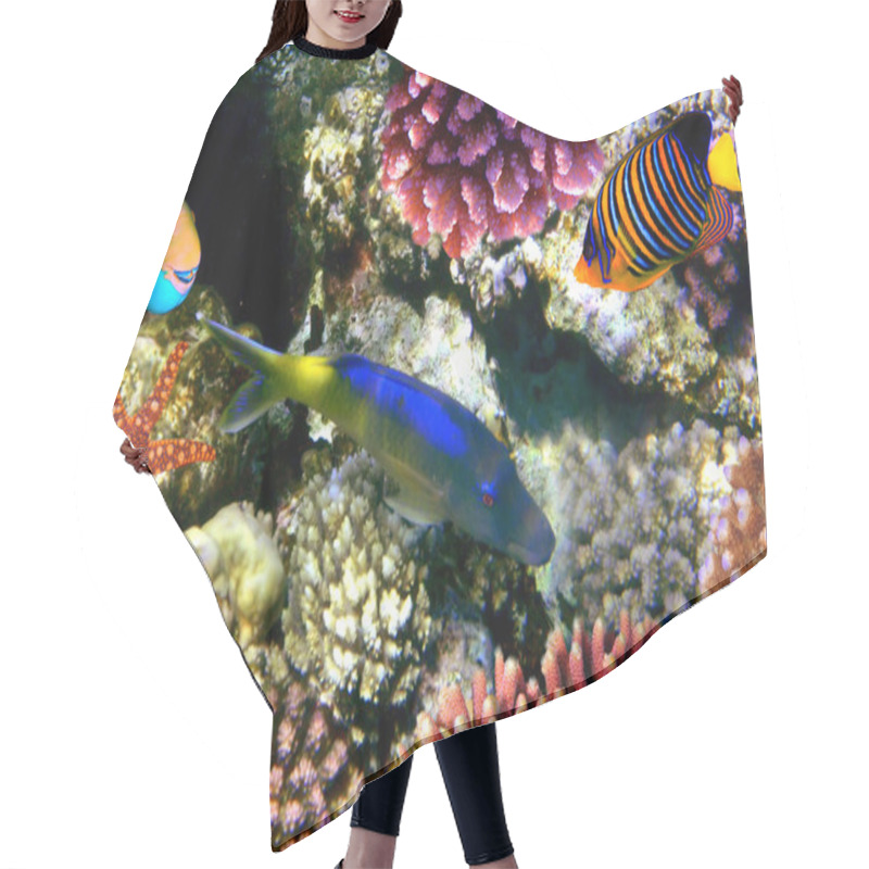 Personality  Photo Of A Coral Colony On A Reef Top Hair Cutting Cape