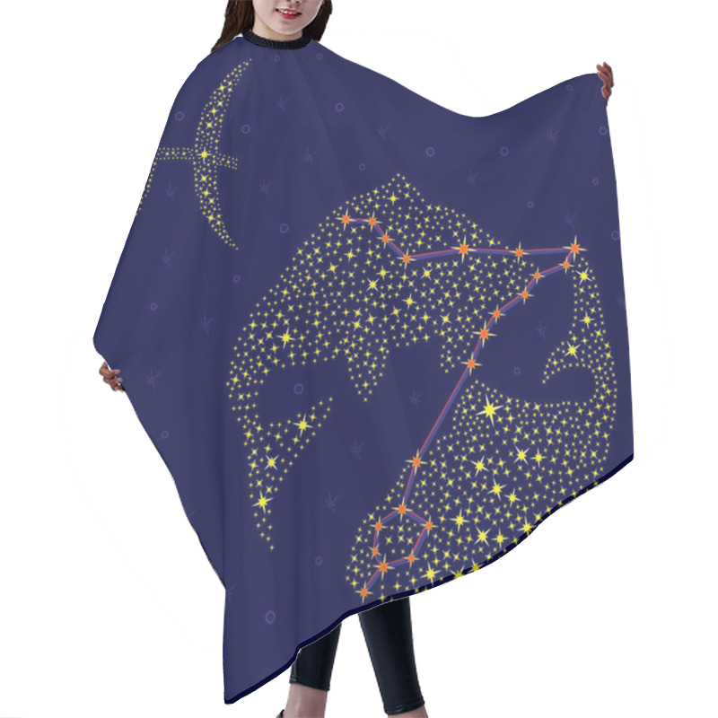 Personality  Zodiac Sign Pisces Over Starry Sky Hair Cutting Cape