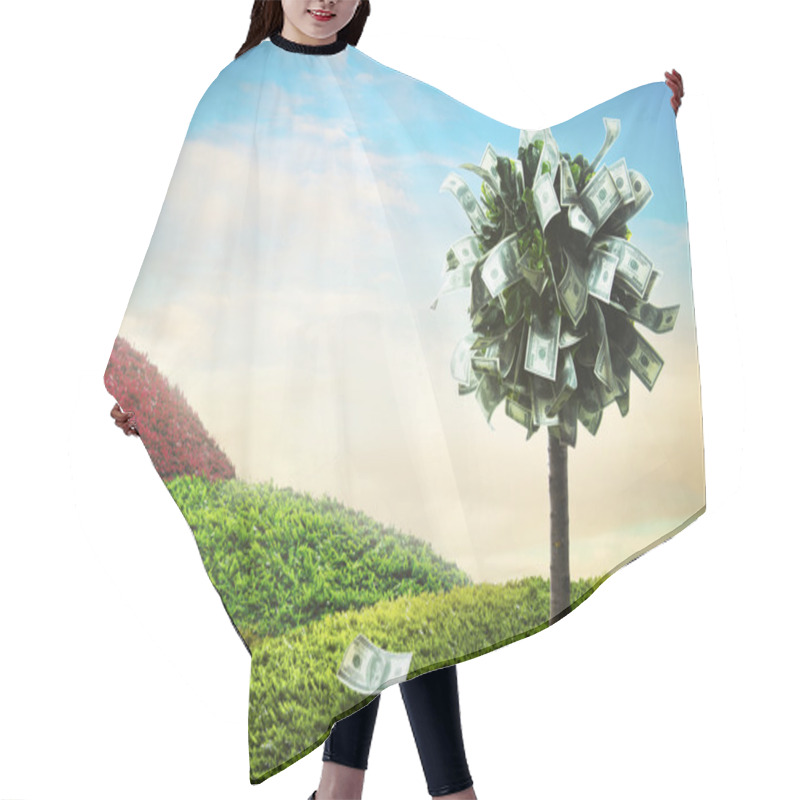 Personality  Concept, Money Tree On Grass Hair Cutting Cape