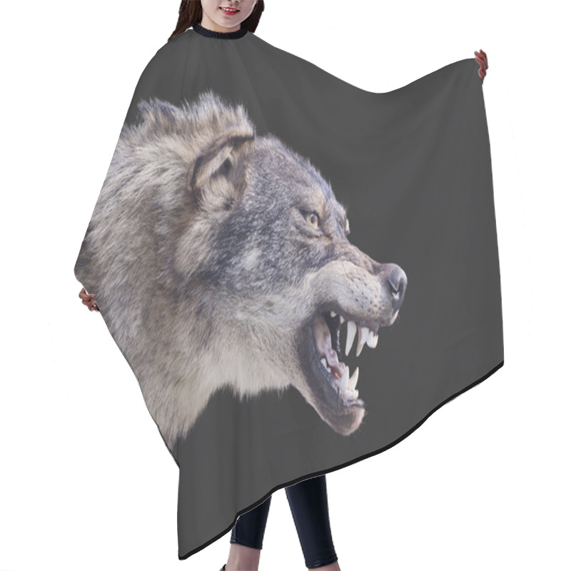 Personality  Wolf Stuffed Hair Cutting Cape