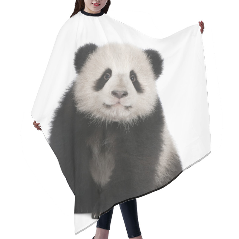 Personality  Giant Panda (6 Months) - Ailuropoda Melanoleuca Hair Cutting Cape