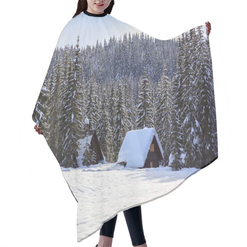 Personality  Winter Forest In Alps Hair Cutting Cape