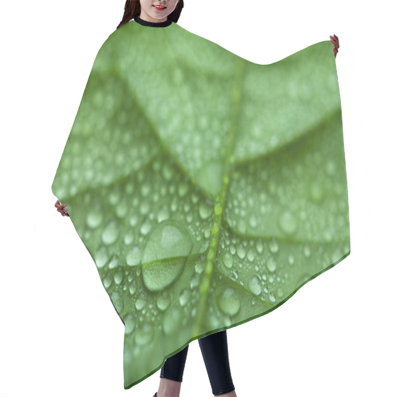 Personality  Fresh Leaf With Water Droplets Hair Cutting Cape