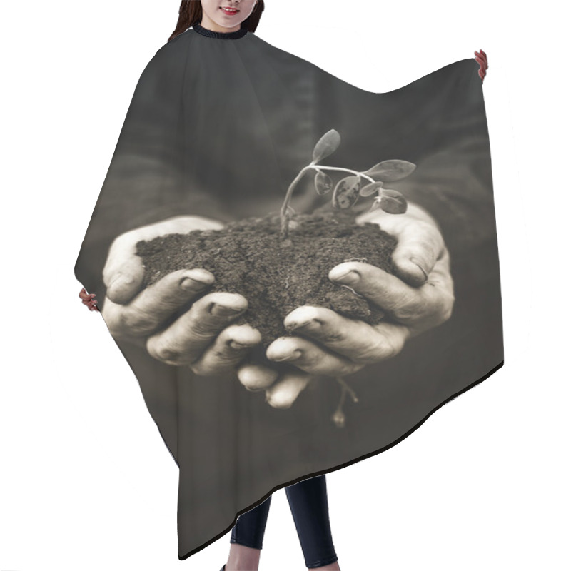 Personality  Dead Plant In Hands Of Agricultural Worker Hair Cutting Cape