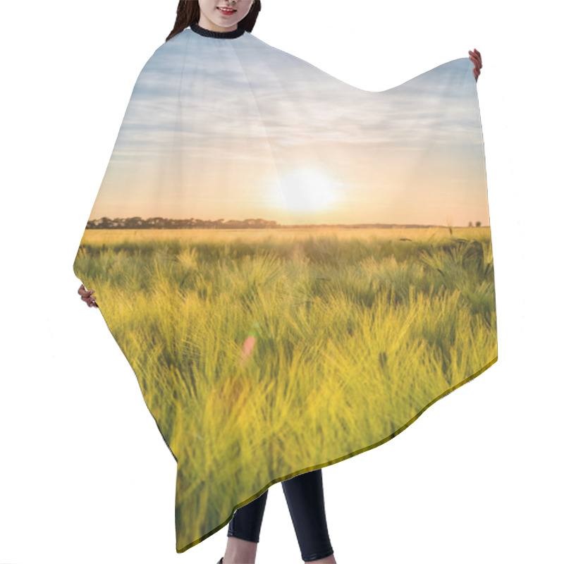 Personality  Fiery Sunset Over A Ripening Wheat Crop Hair Cutting Cape