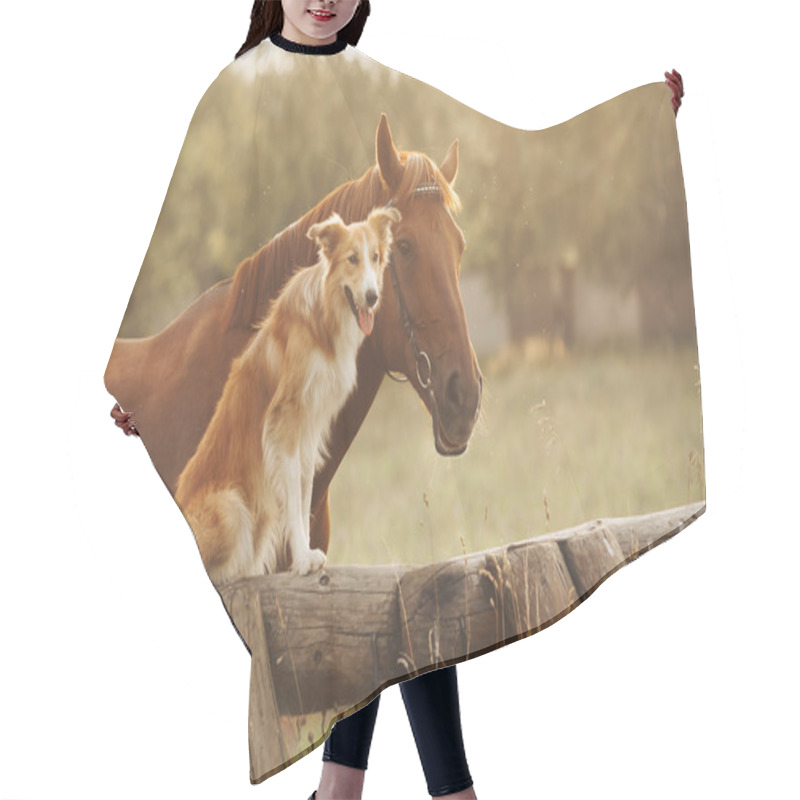 Personality  Red Border Collie Dog And Horse Hair Cutting Cape