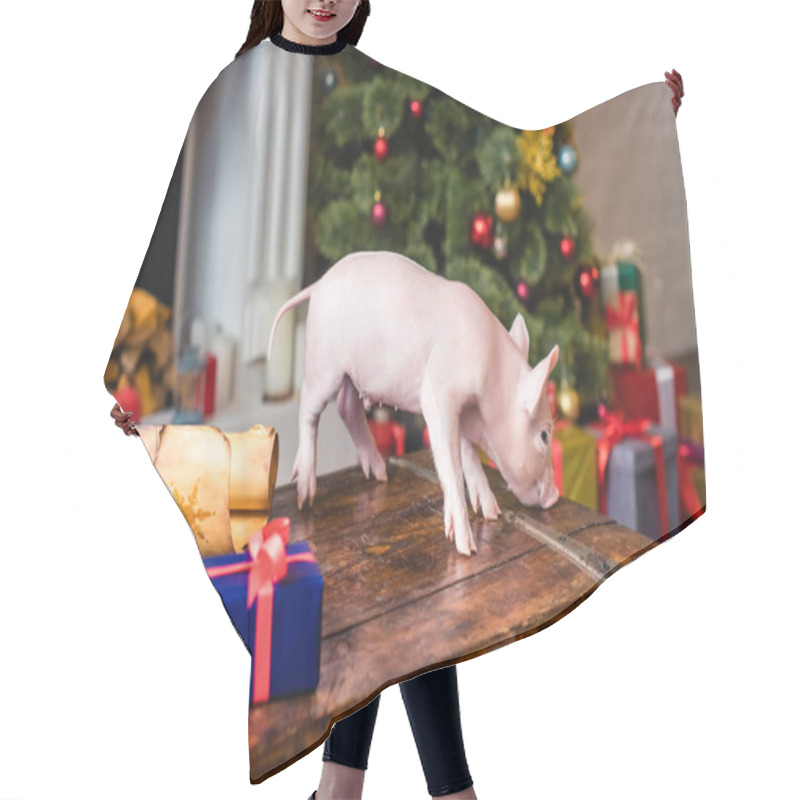 Personality  Cute Little Pig On Wooden Chest At Christmas Time Hair Cutting Cape