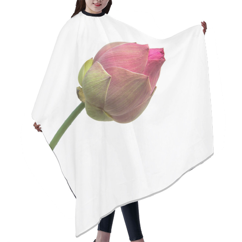 Personality  Beautiful Pink Lotus Flower On White Background Hair Cutting Cape