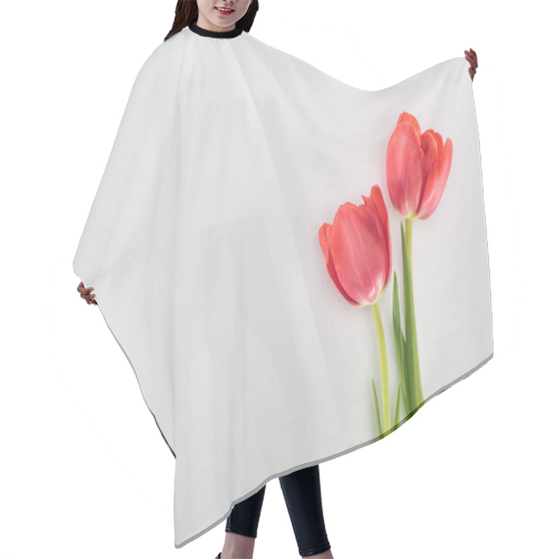 Personality  Top View Of Red Tulip Flowers Isolated On Grey Hair Cutting Cape