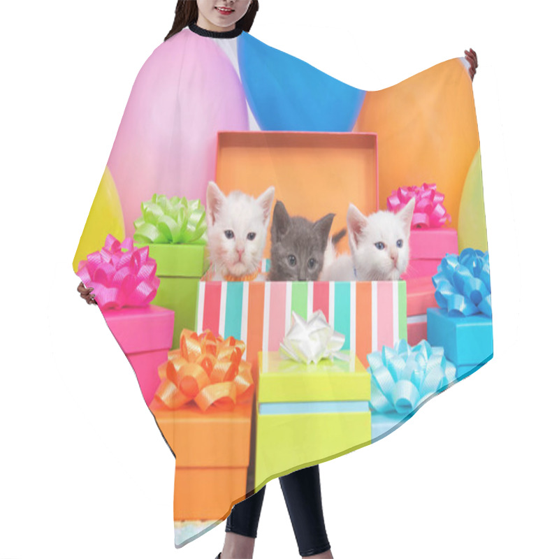 Personality  Two Small White Kittens And One Gray Kitten Peaking Out Of A Birthday Present Box, Surrounded By Bright Colorful Party Balloons And Presents With Bows. Hair Cutting Cape