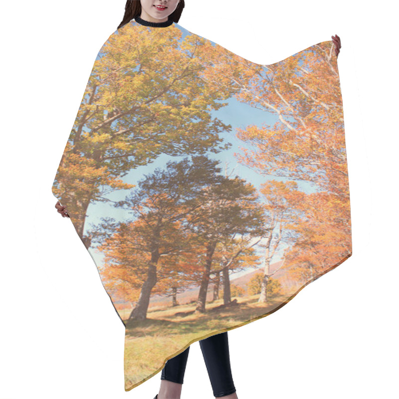 Personality  Beautiful Autumn Forest Hair Cutting Cape