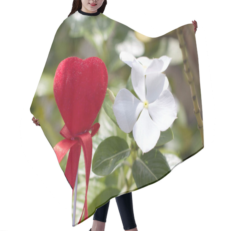 Personality  Red Velvet Heart With Ribbon And White Periwinkle Flower In Sunlight, Vibrant Love And Nature Concept, Perfect For Romantic, Valentines Day, Or Botanical Themes. Hair Cutting Cape