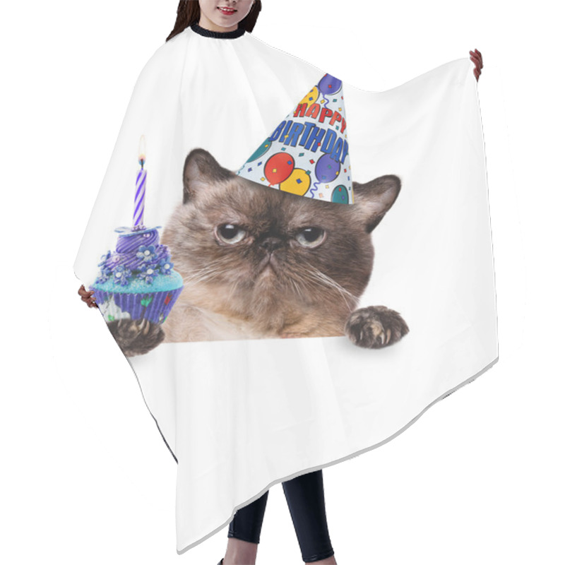 Personality  Birthday Cat . Hair Cutting Cape