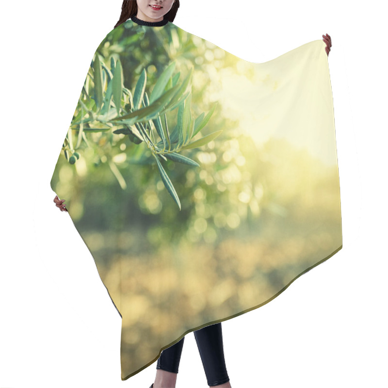 Personality  Olive Trees Garden Hair Cutting Cape