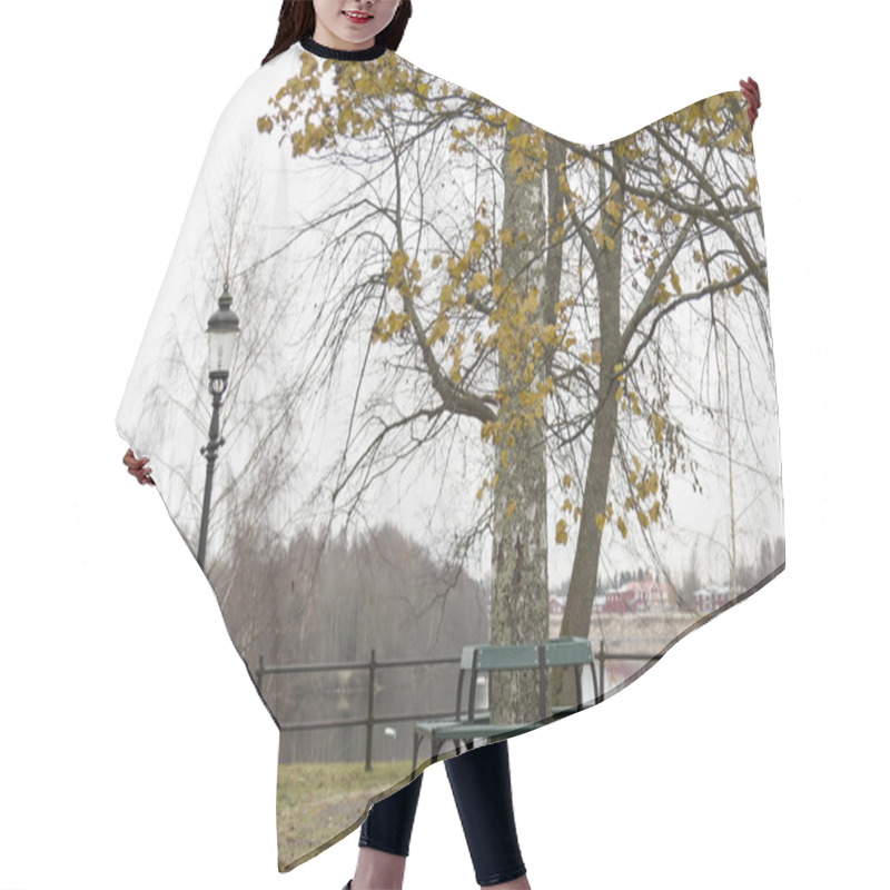 Personality  Benches Aroudn Aspen Tree Hair Cutting Cape