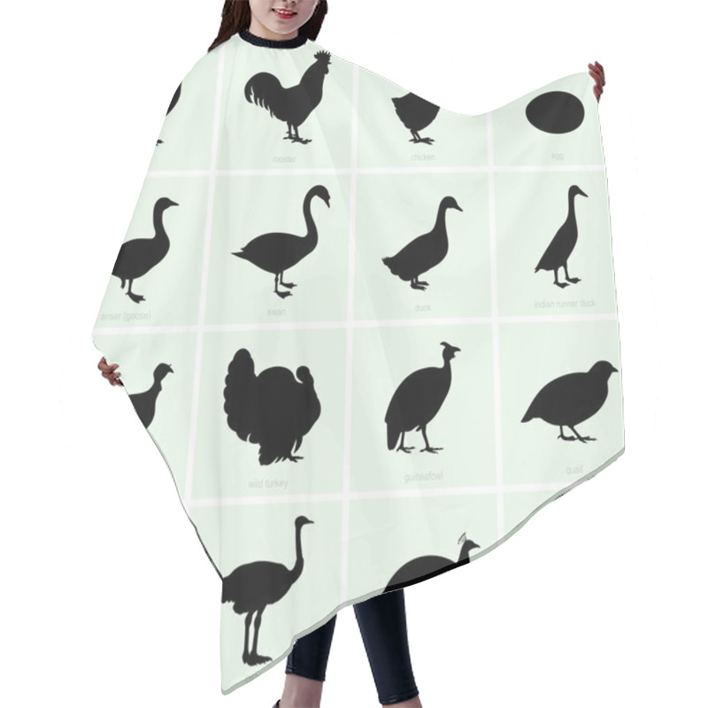 Personality  Poultry Hair Cutting Cape