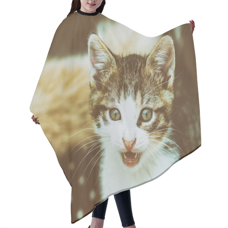 Personality  Baby Cat Meowing Hair Cutting Cape