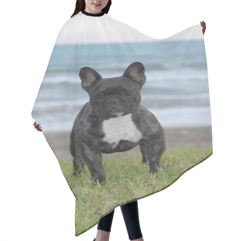 Personality  Dog Breed French Bulldog, Small Moloso By The Sea Hair Cutting Cape