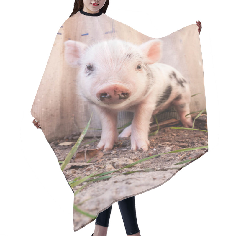 Personality  Cute Muddy Pig Hair Cutting Cape