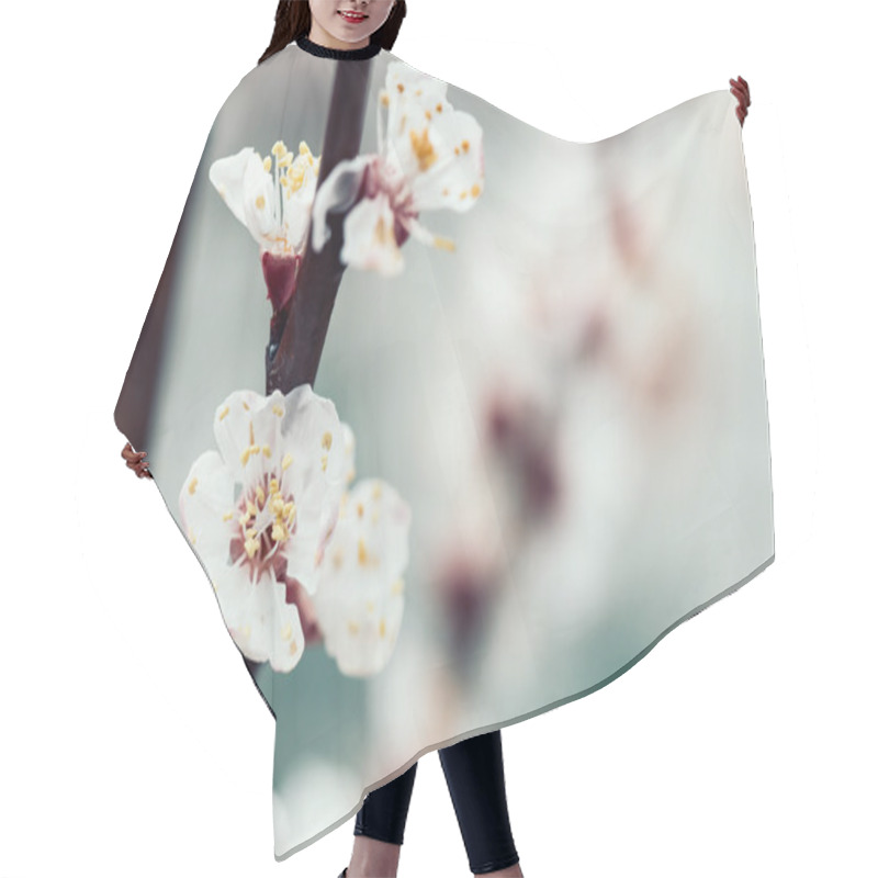 Personality  Blossom Flower In Spring Hair Cutting Cape