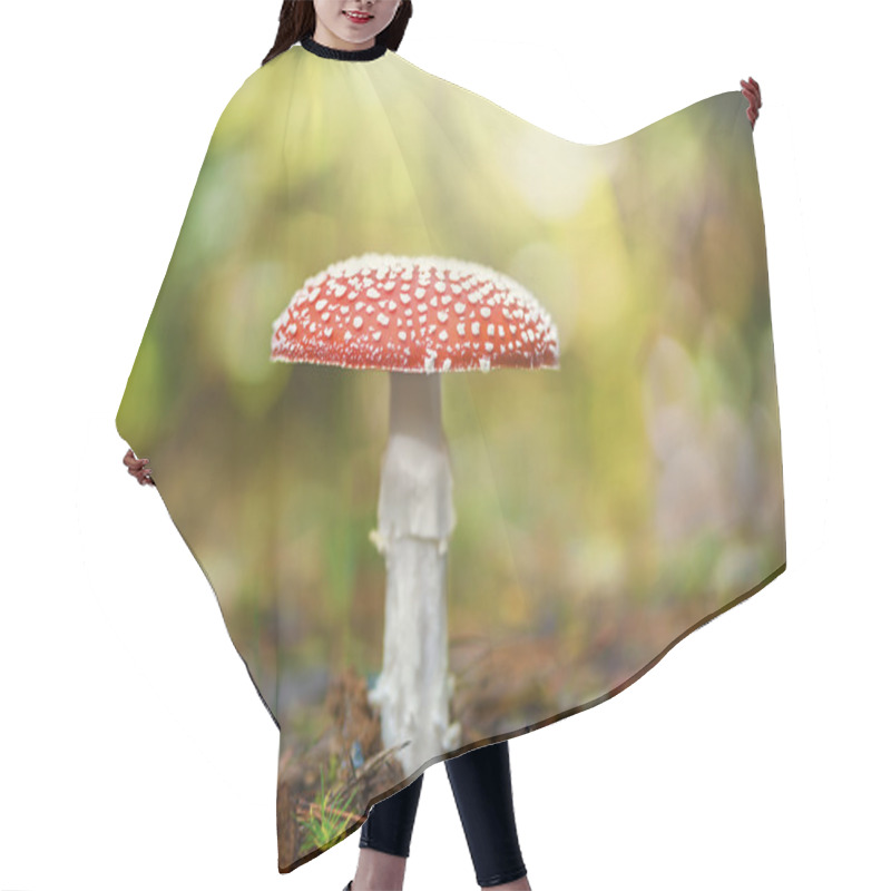 Personality  Mushroom - Toadstool In The Forest Hair Cutting Cape