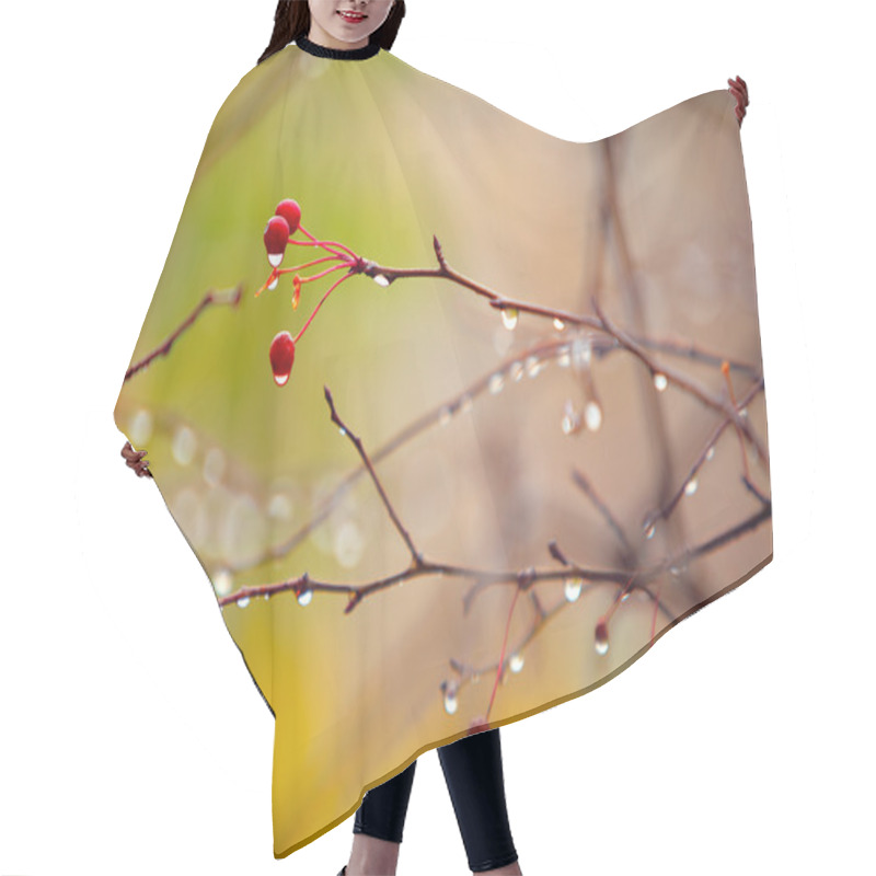 Personality  Autumn Branches With Small Apple Under Rain Hair Cutting Cape