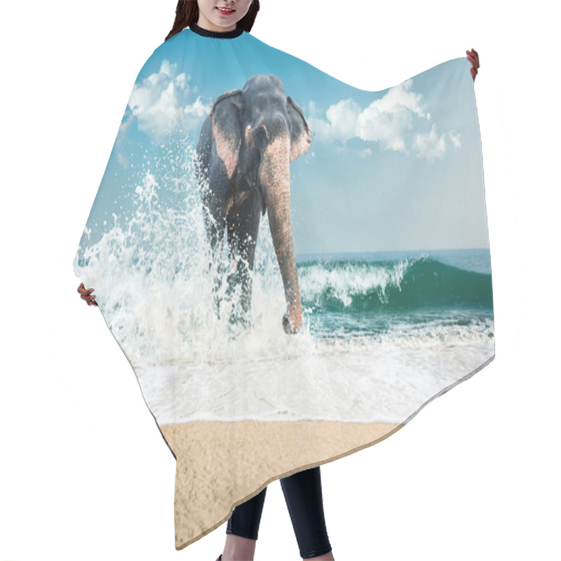 Personality  Elephant In Water Hair Cutting Cape