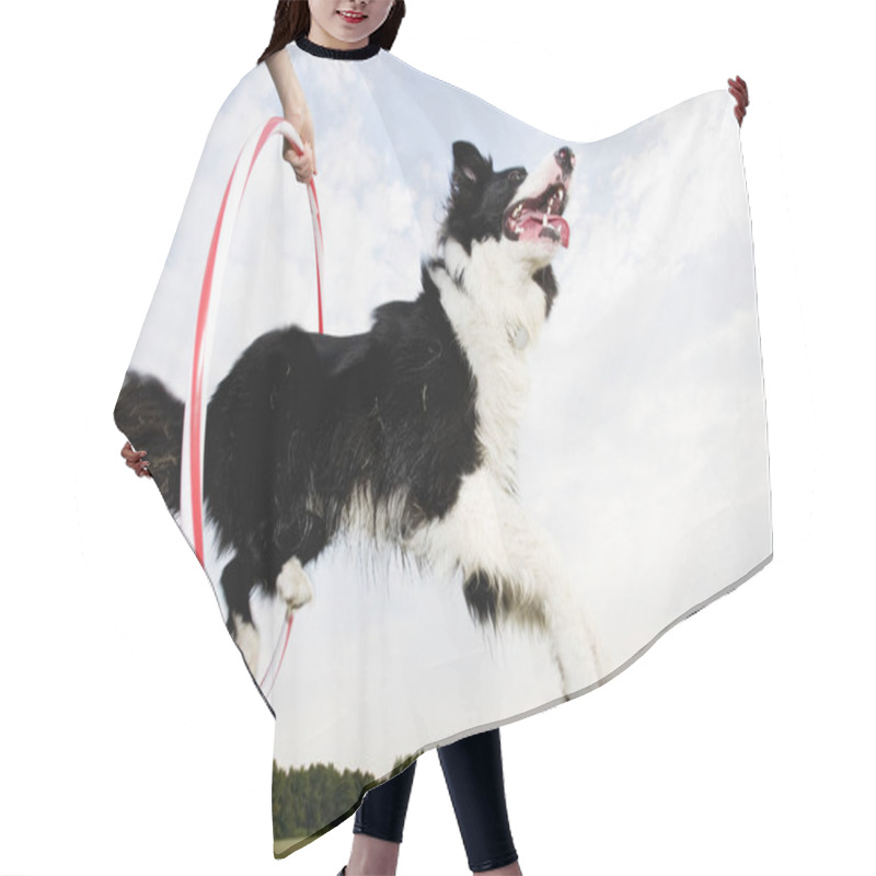 Personality  A Sheepdog Jumping Through A Hoop Hair Cutting Cape