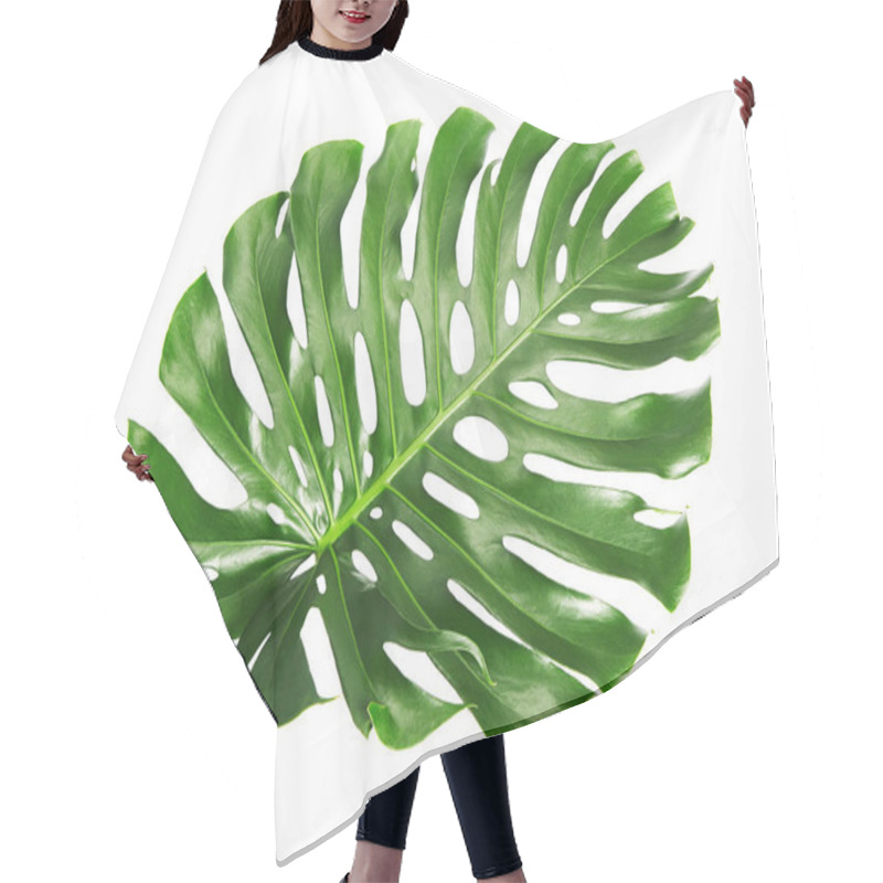 Personality  Monstera Deliciosa Leaf Or Swiss Cheese Plant, Isolated On White Background, With Clipping Path Hair Cutting Cape