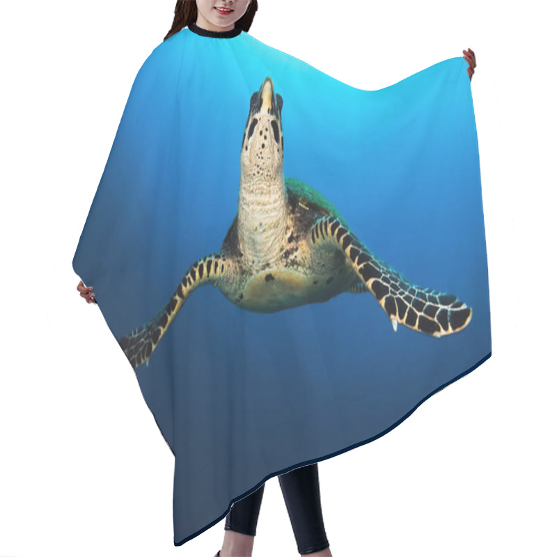 Personality  Sea Turtle Swimming In Blue Ocean Hair Cutting Cape