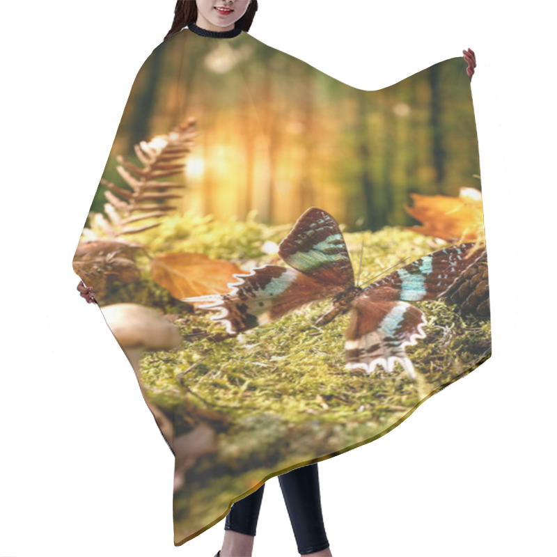 Personality  Fairy Tale Ambiance Magical Autumn Forest Background. Big Beautiful Giant Tropical Butterfly Flying Over Autumn Leaves And Moss, Wild Mushrooms Around, Forest Sunset Hair Cutting Cape