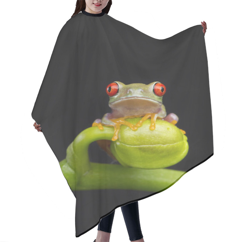 Personality  Baby Frog On Orchid Hair Cutting Cape